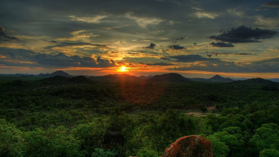 African Forest Sunset Landscape Wide
