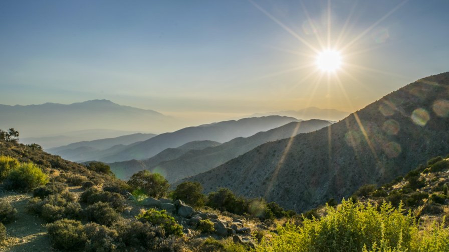 Amazing Beautiful Mountain Valley and Old Forest