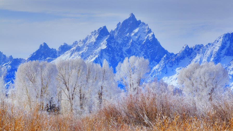 Amazing Grand Teton National Park in Wyoming