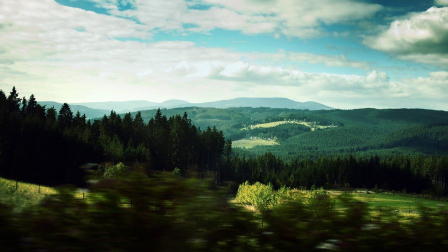Amazing Green Landscape