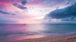 Amazing Wonderful Violet Sunset on the Beach