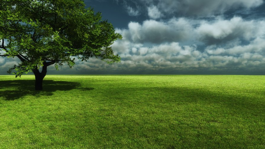 Beautiful 3D Green Field
