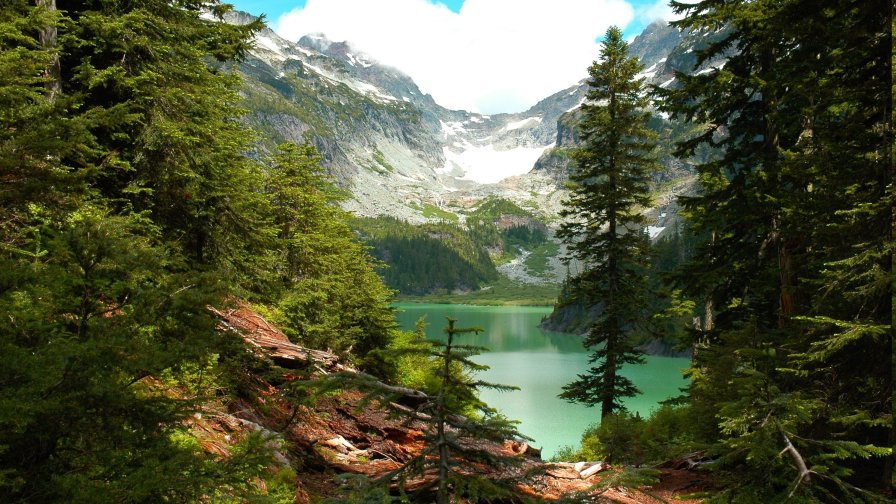 Beautiful Green Forest Lake and Mountains