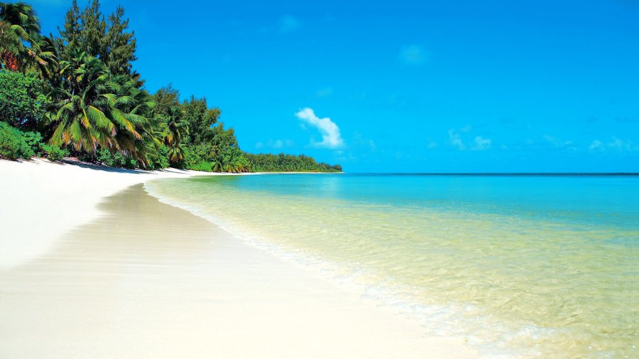 Beautiful Tropical Beach with Pure Water