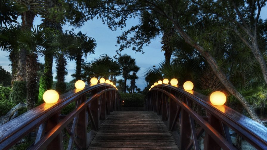 Bridge and Lights