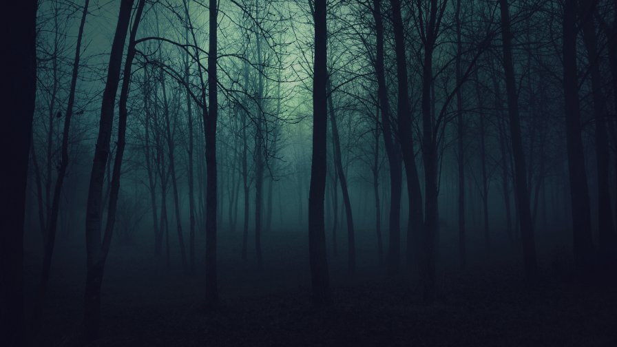 Dark Forest