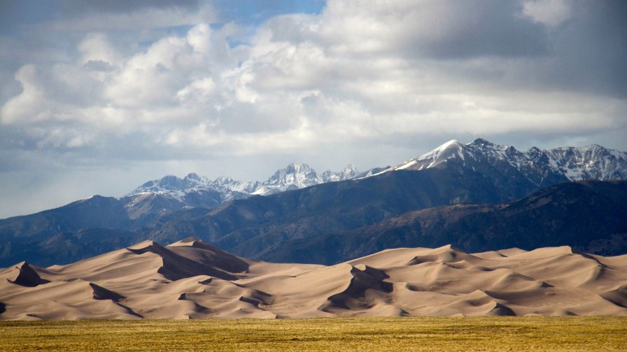 Desert Forest and Mountains