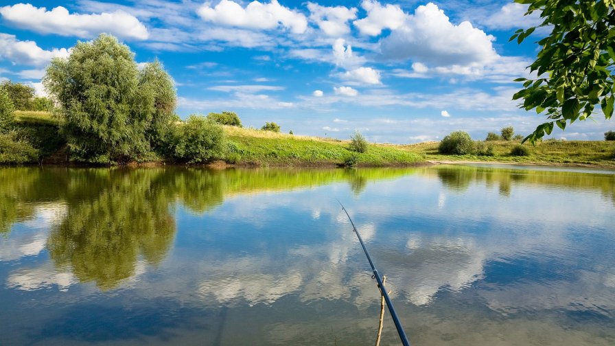 Fishing on the Clear Water Lake
