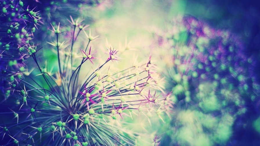 Grass Feathers Light Bright