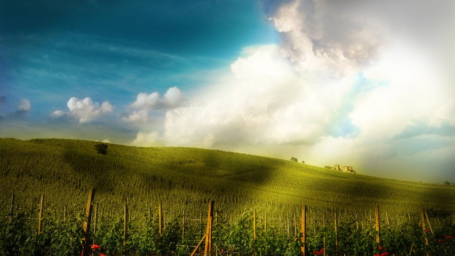 Green Field Sunrays and Clouds