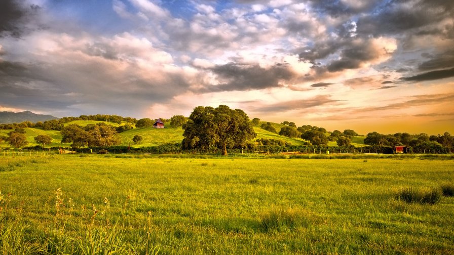 Green Field and Small Village