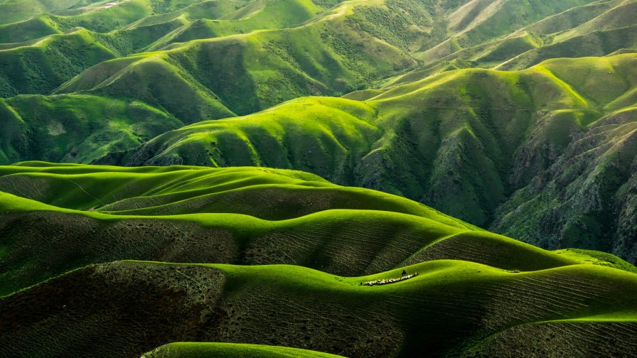 Green Mountains Hills