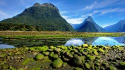 Green Stones River and Forest in Mountain Valley