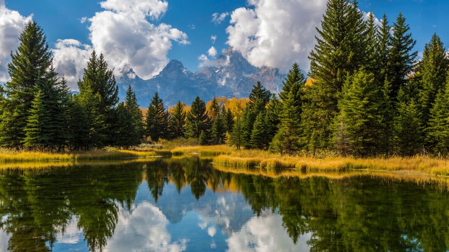Green and Yellow Autumn Trees with Lake and Mountains Between