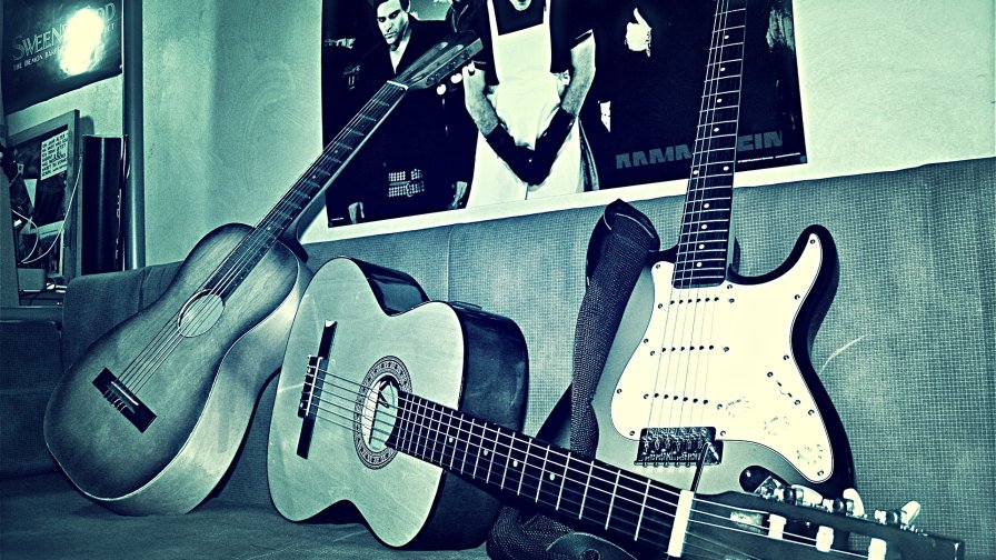 Guitar