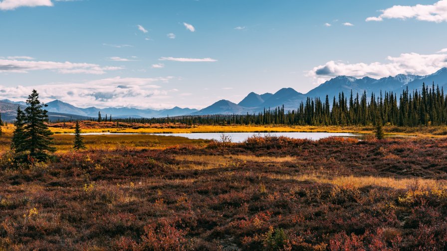 Meadow Trees River and Mountains