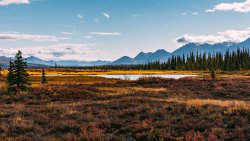 Meadow Trees River and Mountains