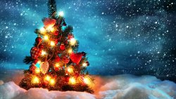 Merry Christmas Trees and Snowfall in the Forest