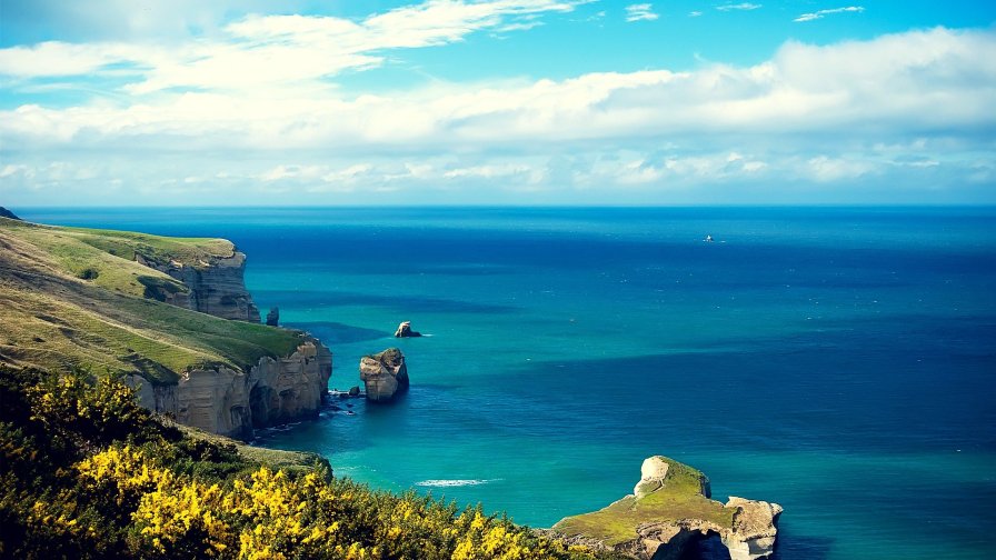 New Zealand Beautiful Blue Sea