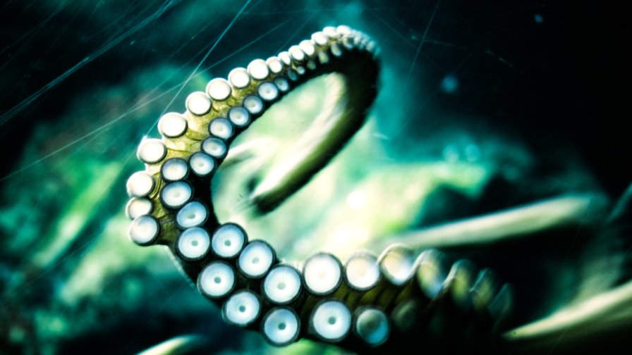 Octopus in Water and in Green Light