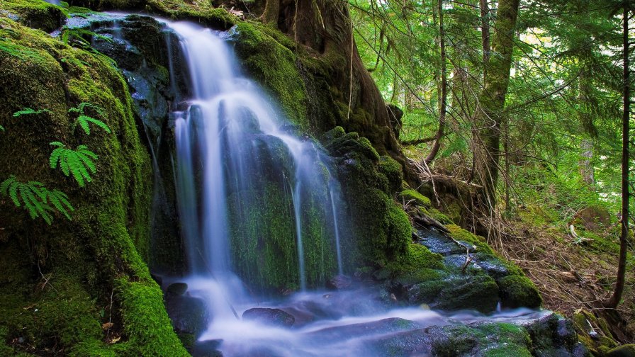 Old Beautiful Waterfall in the Green Summer Forest