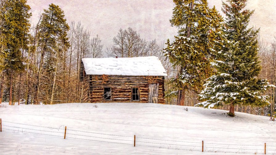 Old House in the Winter Forest