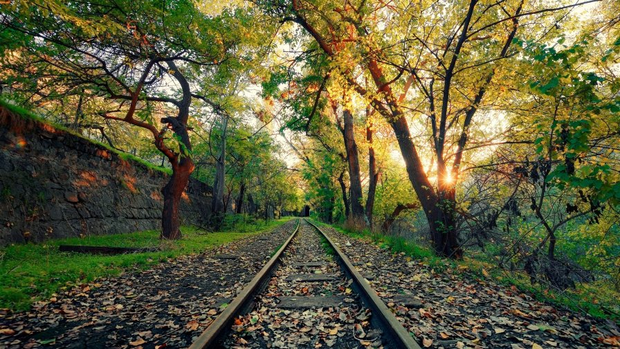 Old Railroad in Green Forest Erevan Armenia