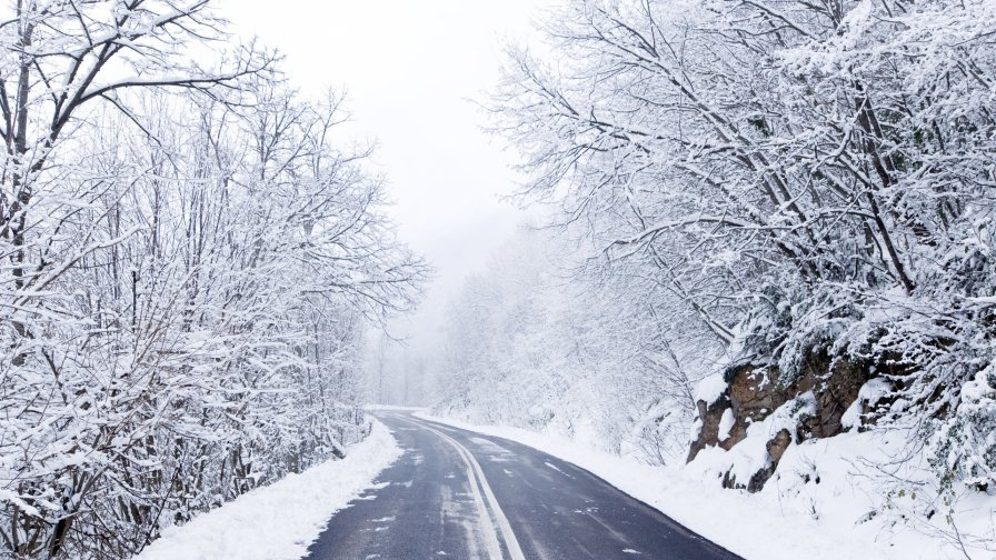 Road in Beautiful Winter Forest