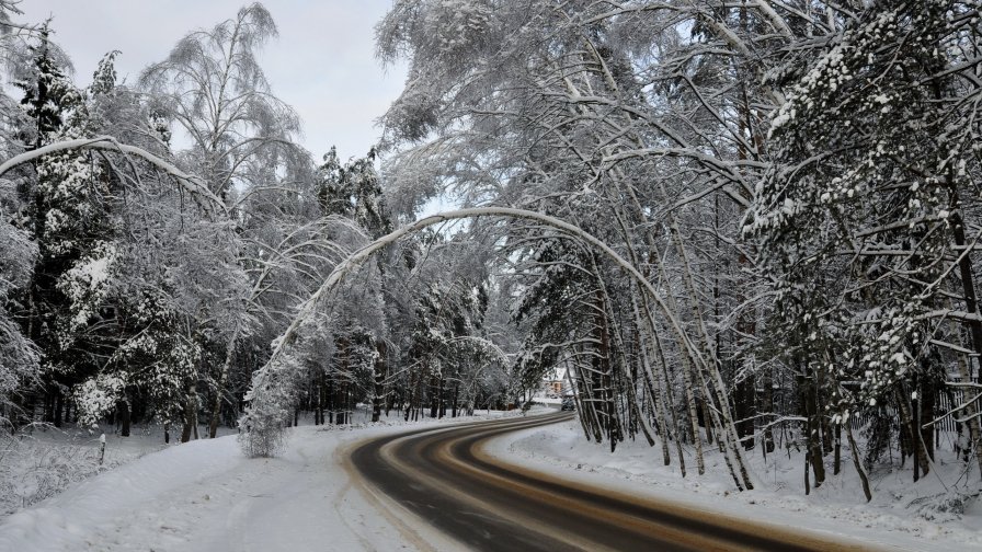 Road in Winter Snowy Forest