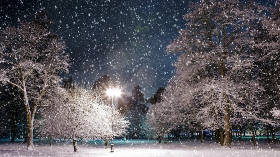 Snow and Park