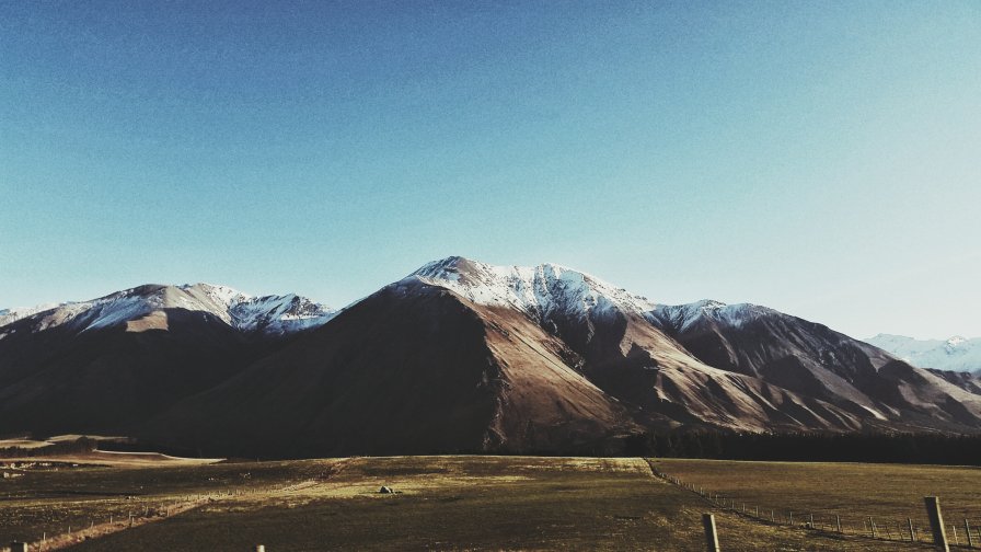 Snowcapped Peaks Forest and Field