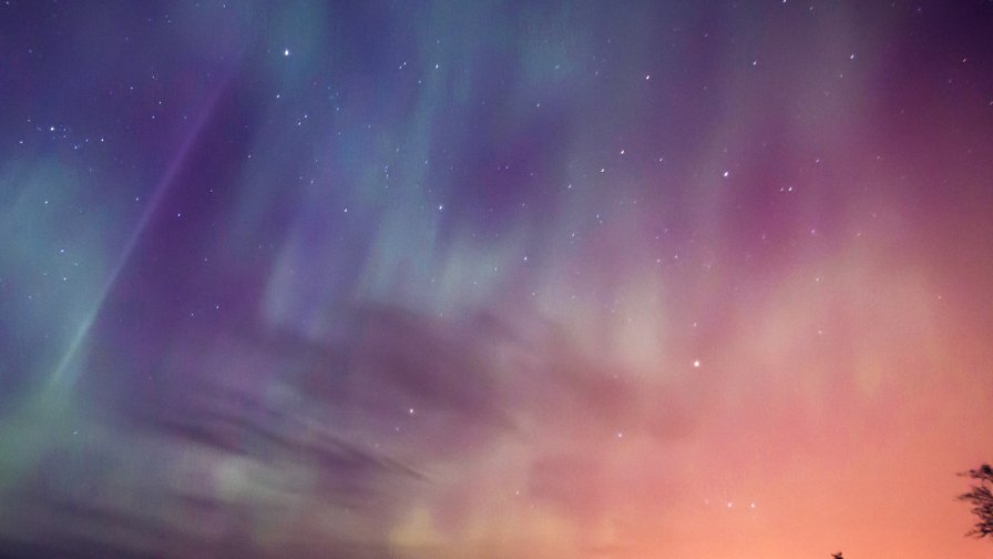 Starry Purple Sky and Forest