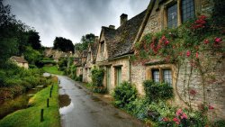 Street in Old Village After Rain