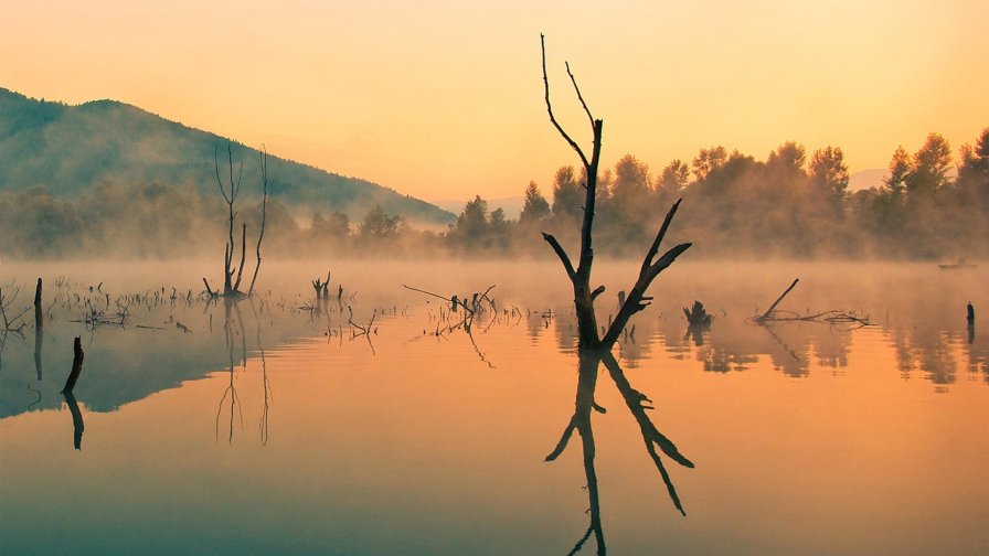 Sunrise on the Swamp