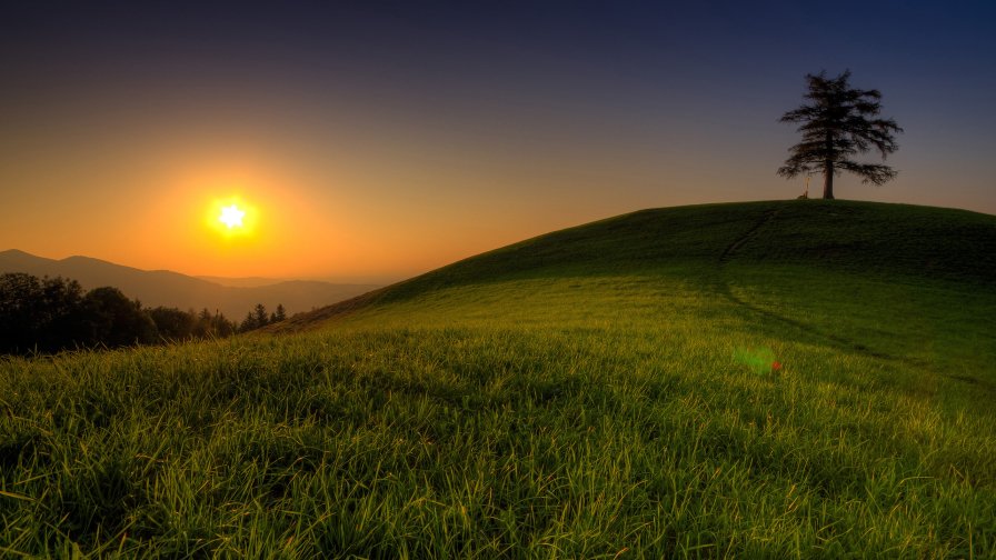 Sunset and Field with Green Grass