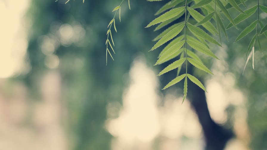 This is Perfect Nature