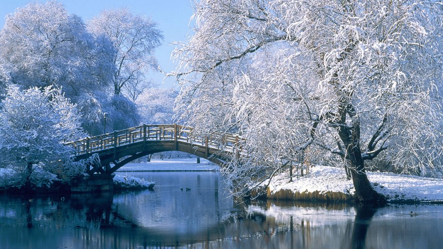 Winter Lake with Frost on the Trees and Bridge