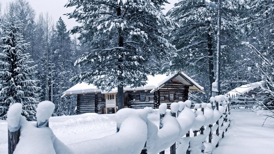 Winter Village in Forest