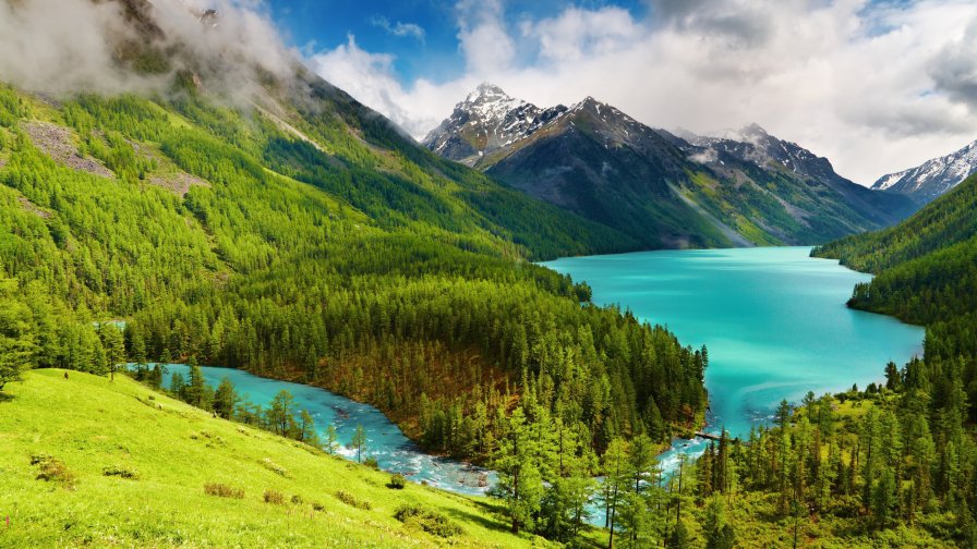 Wonderful Green Forest in Beautiful Mountain Valley