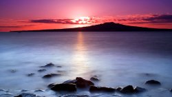Wonderful Pink Sunset and Rocks in Water