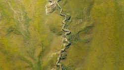 Aerial View on Green Meadow and Relief