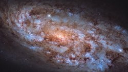 NGC 1792 Beautiful Spiral Galaxy